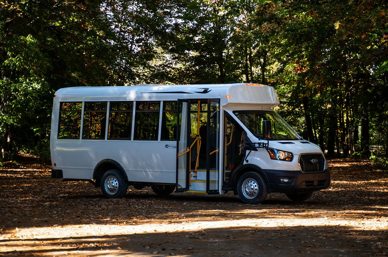 Ct-Series inside the forest